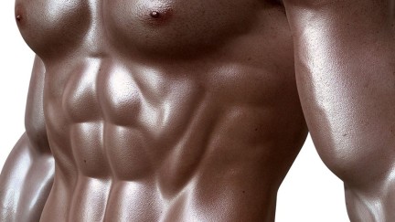 מישורי תנועה אנטומיים