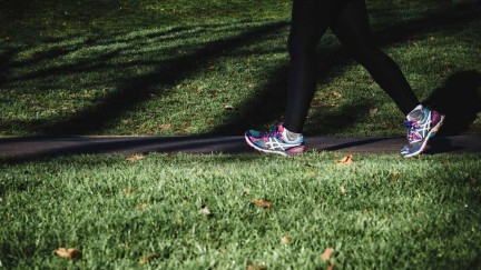 הליכה – למה כדאי לכם