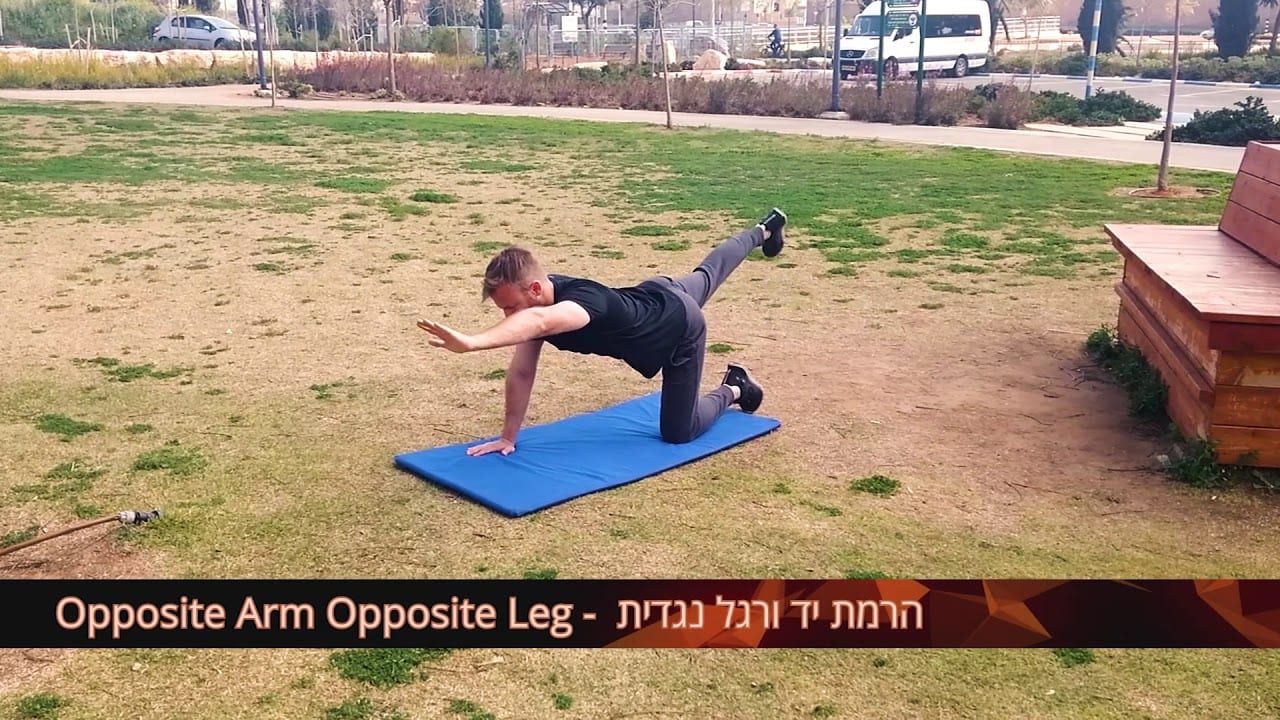 הרמת יד ורגל נגדית – Opposite Arm Opposite Leg