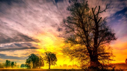 כל מסע מתחיל בצעד אחד קטן