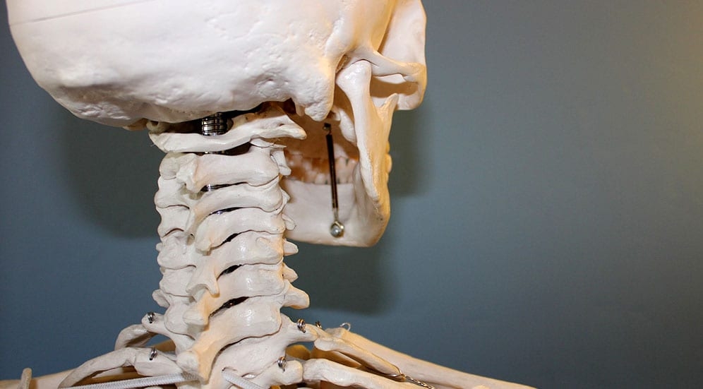 עקומות עמוד השדרה